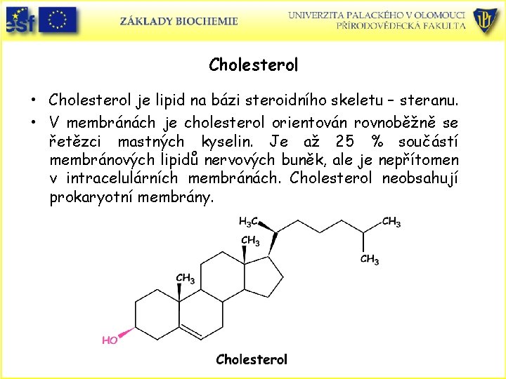 Cholesterol • Cholesterol je lipid na bázi steroidního skeletu – steranu. • V membránách