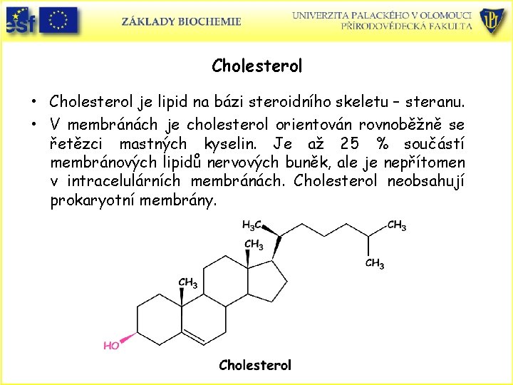 Cholesterol • Cholesterol je lipid na bázi steroidního skeletu – steranu. • V membránách Cholesterol • Cholesterol je lipid na bázi steroidního skeletu – steranu. • V membránách