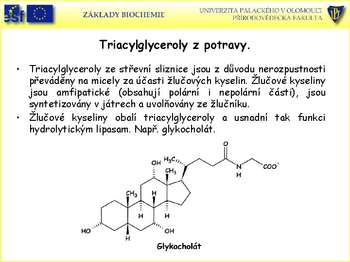 Triacylglyceroly z potravy. • Triacylglyceroly ze střevní sliznice jsou z důvodu nerozpustnosti převáděny na