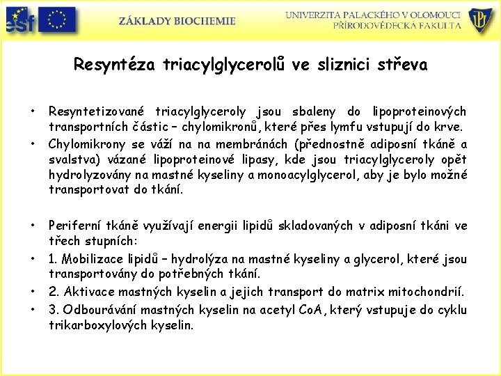 Resyntéza triacylglycerolů ve sliznici střeva • • • Resyntetizované triacylglyceroly jsou sbaleny do lipoproteinových Resyntéza triacylglycerolů ve sliznici střeva • • • Resyntetizované triacylglyceroly jsou sbaleny do lipoproteinových