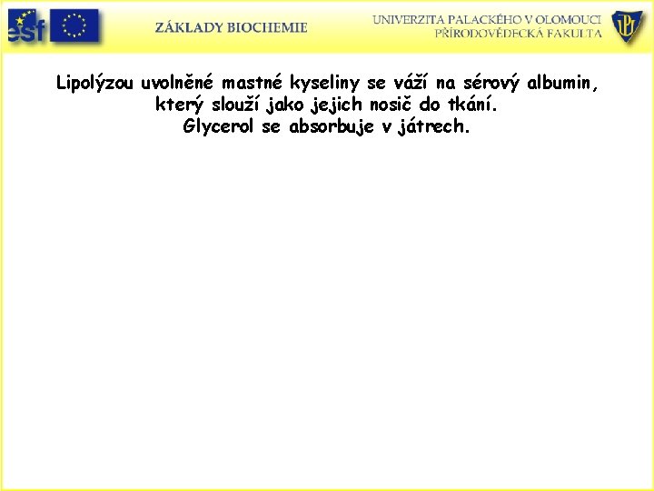 Lipolýzou uvolněné mastné kyseliny se váží na sérový albumin, který slouží jako jejich nosič Lipolýzou uvolněné mastné kyseliny se váží na sérový albumin, který slouží jako jejich nosič