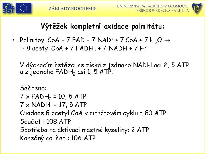 Výtěžek kompletní oxidace palmitátu: • Palmitoyl Co. A + 7 FAD + 7 NAD+