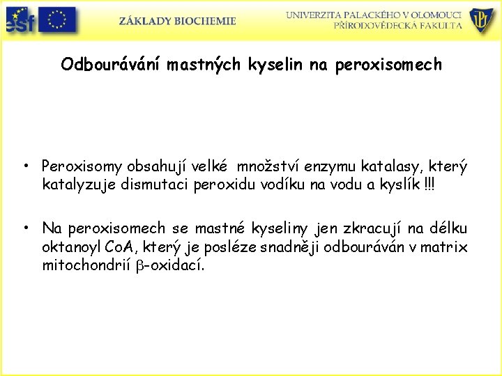 Odbourávání mastných kyselin na peroxisomech • Peroxisomy obsahují velké množství enzymu katalasy, který katalyzuje Odbourávání mastných kyselin na peroxisomech • Peroxisomy obsahují velké množství enzymu katalasy, který katalyzuje