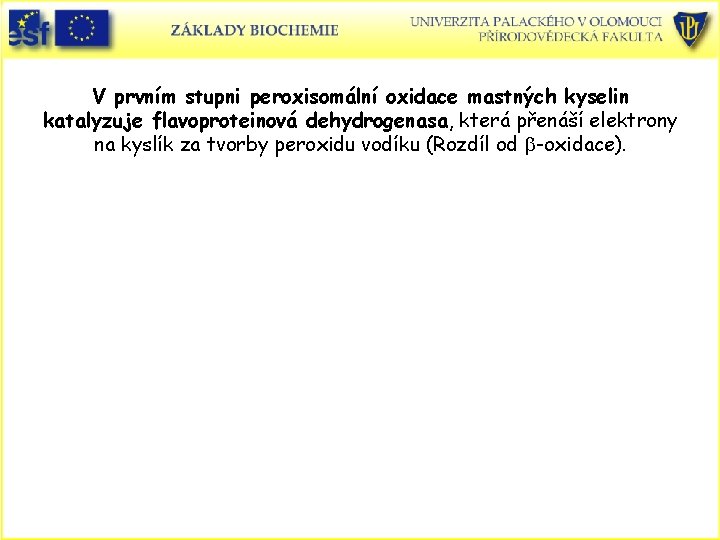 V prvním stupni peroxisomální oxidace mastných kyselin katalyzuje flavoproteinová dehydrogenasa, která přenáší elektrony na V prvním stupni peroxisomální oxidace mastných kyselin katalyzuje flavoproteinová dehydrogenasa, která přenáší elektrony na