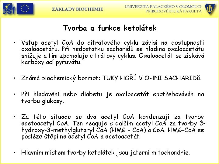 Tvorba a funkce ketolátek • Vstup acetyl Co. A do citrátového cyklu závisí na