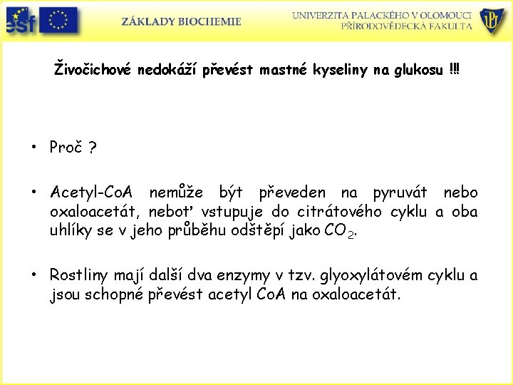 Živočichové nedokáží převést mastné kyseliny na glukosu !!! • Proč ? • Acetyl-Co. A Živočichové nedokáží převést mastné kyseliny na glukosu !!! • Proč ? • Acetyl-Co. A