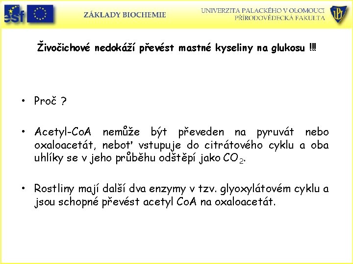 Živočichové nedokáží převést mastné kyseliny na glukosu !!! • Proč ? • Acetyl-Co. A