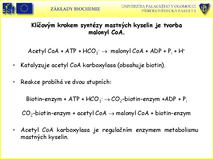 Klíčovým krokem syntézy mastných kyselin je tvorba malonyl Co. A. Acetyl Co. A +