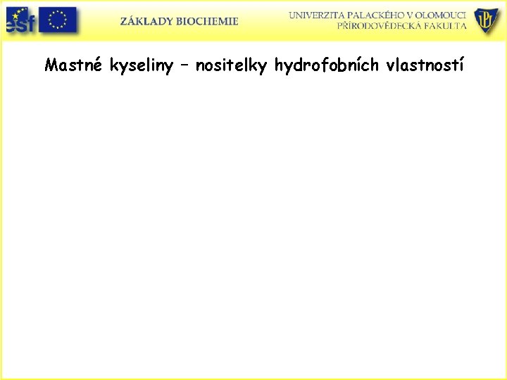 Mastné kyseliny – nositelky hydrofobních vlastností Mastné kyseliny – nositelky hydrofobních vlastností