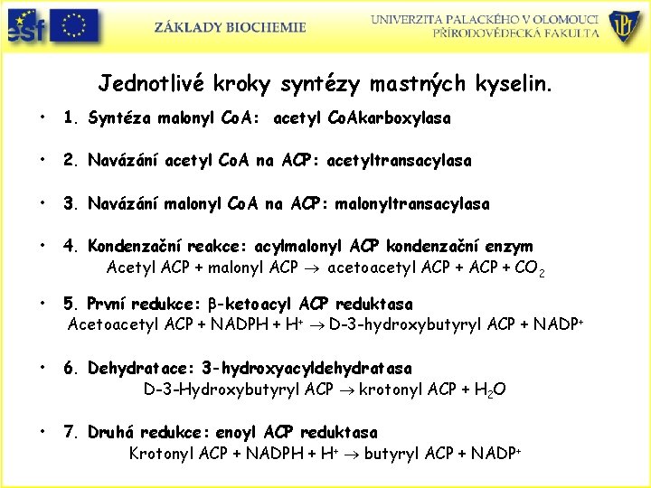 Jednotlivé kroky syntézy mastných kyselin. • 1. Syntéza malonyl Co. A: acetyl Co. Akarboxylasa Jednotlivé kroky syntézy mastných kyselin. • 1. Syntéza malonyl Co. A: acetyl Co. Akarboxylasa
