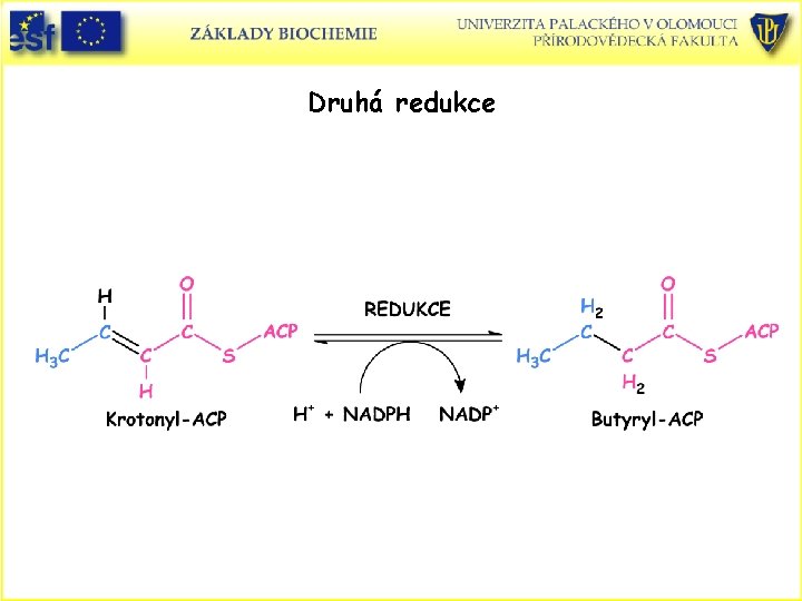 Druhá redukce Druhá redukce