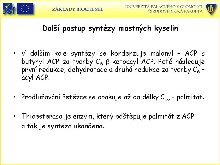 Další postup syntézy mastných kyselin • V dalším kole syntézy se kondenzuje malonyl – Další postup syntézy mastných kyselin • V dalším kole syntézy se kondenzuje malonyl –