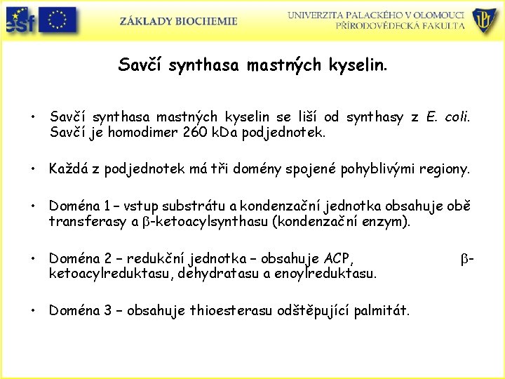 Savčí synthasa mastných kyselin. • Savčí synthasa mastných kyselin se liší od synthasy z