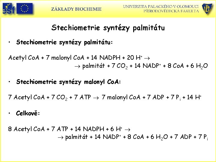 Stechiometrie syntézy palmitátu • Stechiometrie syntézy palmitátu: Acetyl Co. A + 7 malonyl Co.