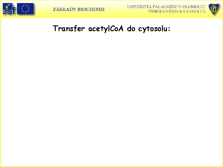 Transfer acetyl. Co. A do cytosolu: 