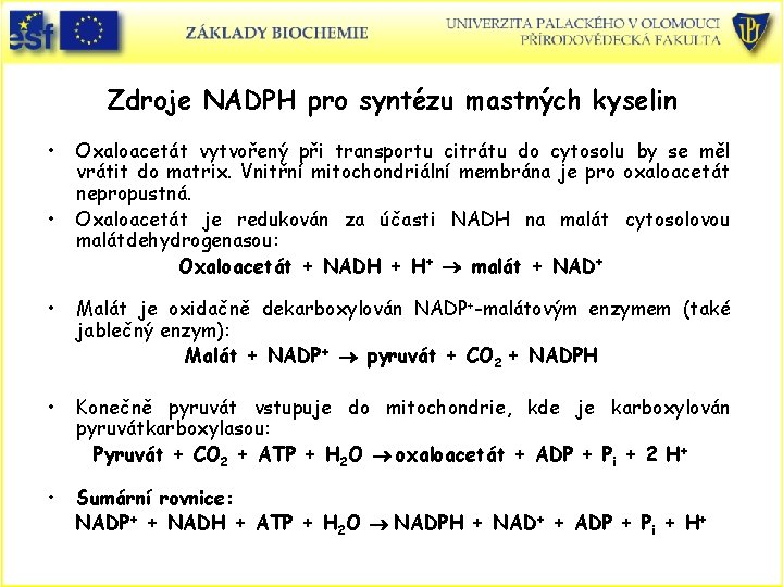 Zdroje NADPH pro syntézu mastných kyselin • • Oxaloacetát vytvořený při transportu citrátu do