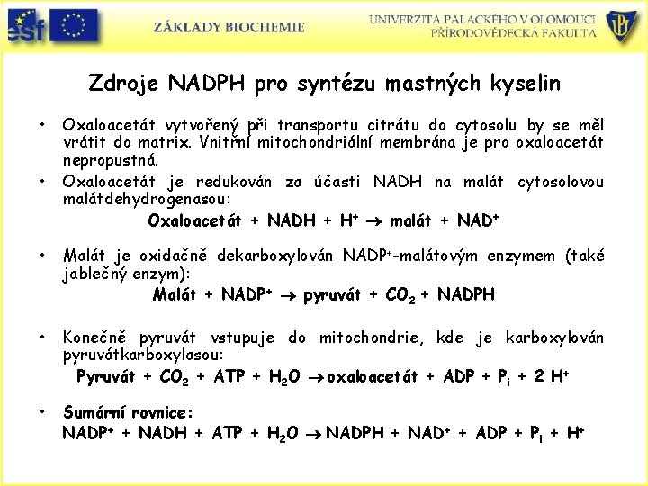 Zdroje NADPH pro syntézu mastných kyselin • • Oxaloacetát vytvořený při transportu citrátu do Zdroje NADPH pro syntézu mastných kyselin • • Oxaloacetát vytvořený při transportu citrátu do