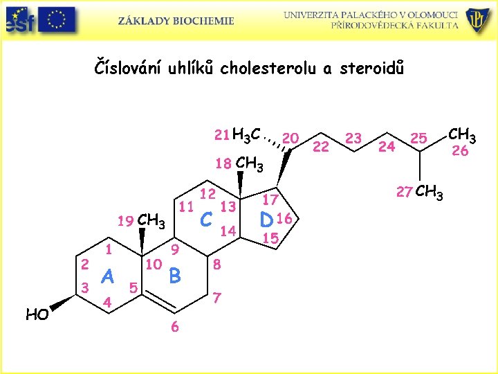 Číslování uhlíků cholesterolu a steroidů Číslování uhlíků cholesterolu a steroidů