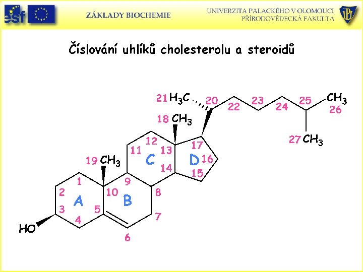 Číslování uhlíků cholesterolu a steroidů 