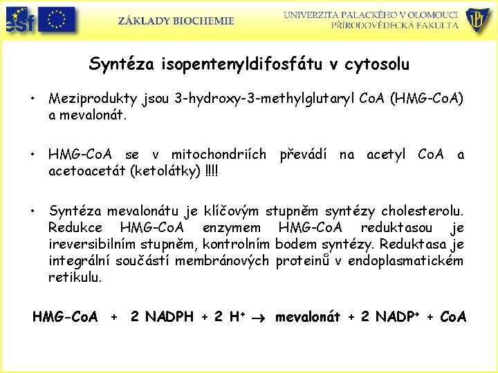 Syntéza isopentenyldifosfátu v cytosolu • Meziprodukty jsou 3 -hydroxy-3 -methylglutaryl Co. A (HMG-Co. A) Syntéza isopentenyldifosfátu v cytosolu • Meziprodukty jsou 3 -hydroxy-3 -methylglutaryl Co. A (HMG-Co. A)