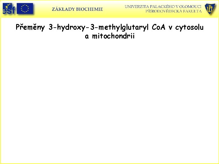Přeměny 3 -hydroxy-3 -methylglutaryl Co. A v cytosolu a mitochondrii Přeměny 3 -hydroxy-3 -methylglutaryl Co. A v cytosolu a mitochondrii