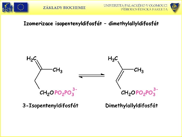 Izomerizace isopentenyldifosfát – dimethylallyldifosfát 