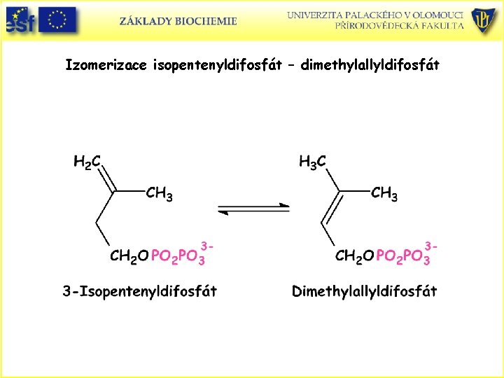 Izomerizace isopentenyldifosfát – dimethylallyldifosfát Izomerizace isopentenyldifosfát – dimethylallyldifosfát