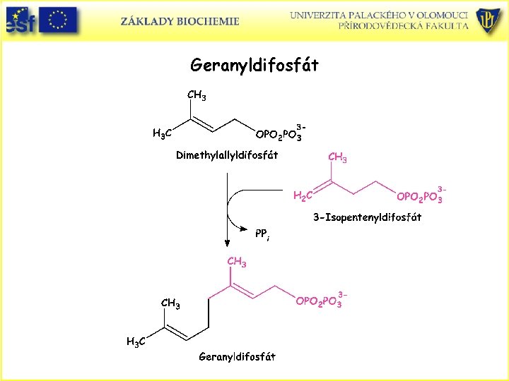 Geranyldifosfát Geranyldifosfát