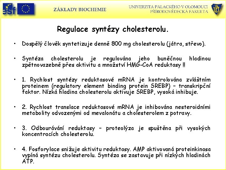 Regulace syntézy cholesterolu. • Dospělý člověk syntetizuje denně 800 mg cholesterolu (játra, střevo). •