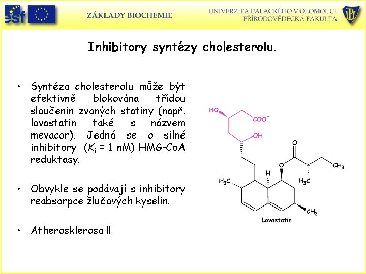 Inhibitory syntézy cholesterolu. • Syntéza cholesterolu může být efektivně blokována třídou sloučenin zvaných statiny