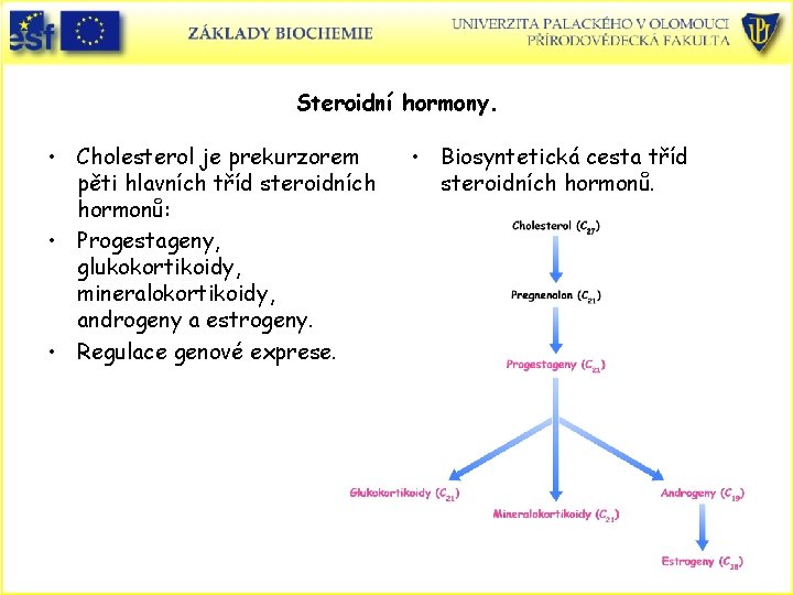 Steroidní hormony. • Cholesterol je prekurzorem pěti hlavních tříd steroidních hormonů: • Progestageny, glukokortikoidy,