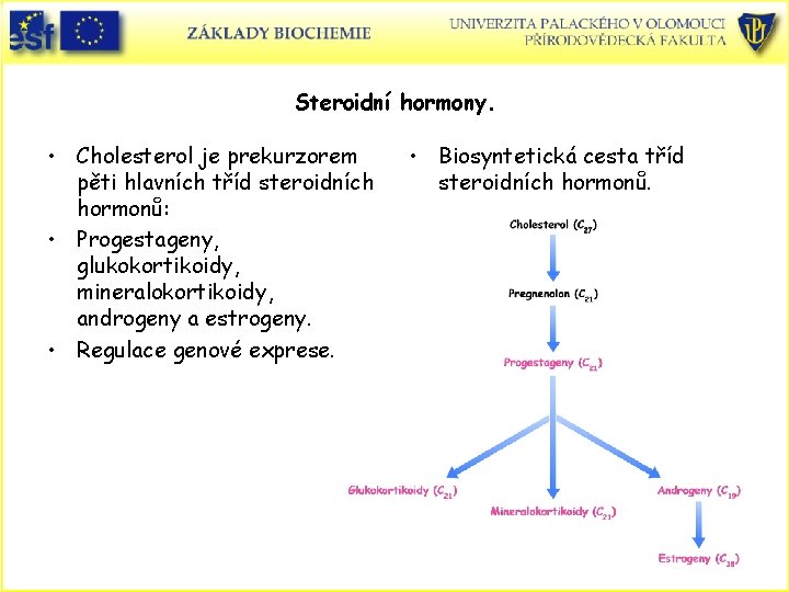 Steroidní hormony. • Cholesterol je prekurzorem pěti hlavních tříd steroidních hormonů: • Progestageny, glukokortikoidy, Steroidní hormony. • Cholesterol je prekurzorem pěti hlavních tříd steroidních hormonů: • Progestageny, glukokortikoidy,