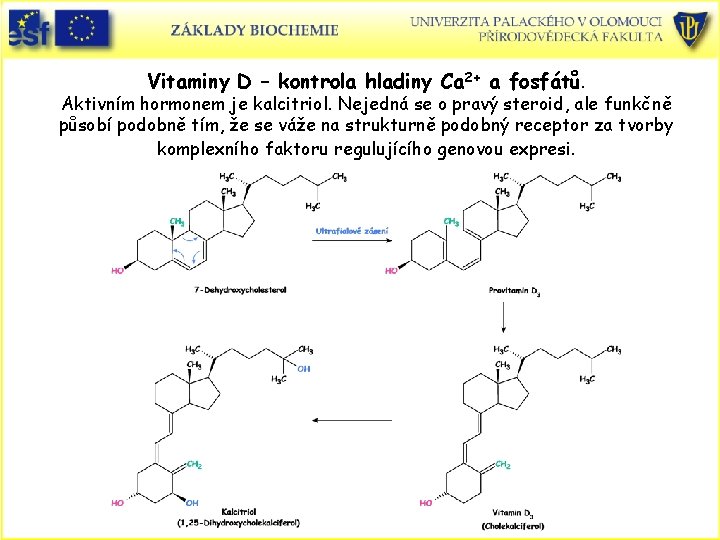 Vitaminy D – kontrola hladiny Ca 2+ a fosfátů. Aktivním hormonem je kalcitriol. Nejedná Vitaminy D – kontrola hladiny Ca 2+ a fosfátů. Aktivním hormonem je kalcitriol. Nejedná