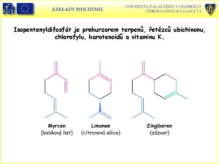 Isopentenyldifosfát je prekurzorem terpenů, řetězců ubichinonu, chlorofylu, karotenoidů a vitaminu K. Isopentenyldifosfát je prekurzorem terpenů, řetězců ubichinonu, chlorofylu, karotenoidů a vitaminu K.