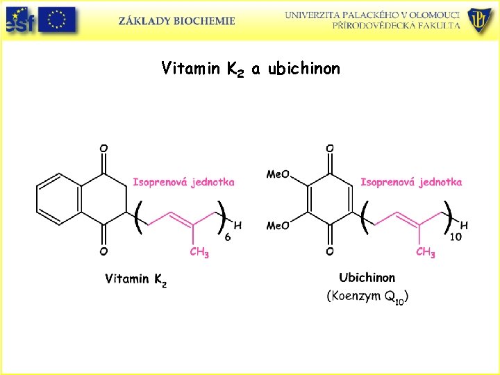 Vitamin K 2 a ubichinon 