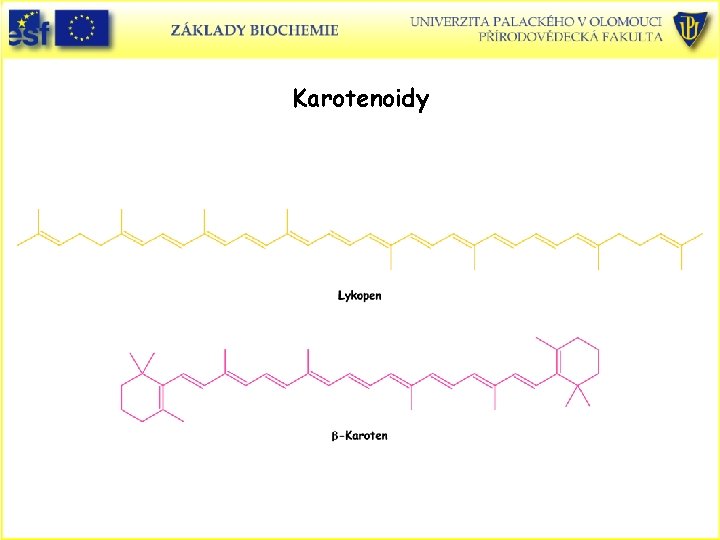 Karotenoidy Karotenoidy