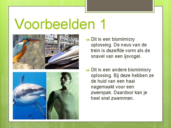 Voorbeelden 1 Dit is een biomimicry oplossing. De neus van de trein is dezelfde