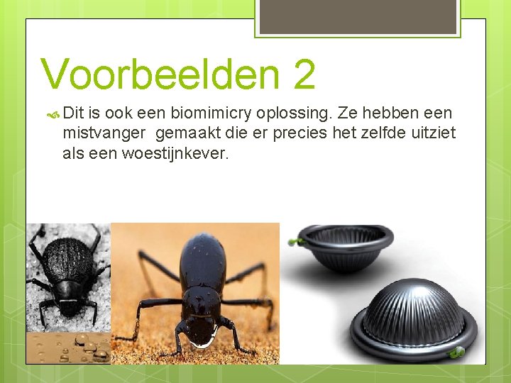 Voorbeelden 2 Dit is ook een biomimicry oplossing. Ze hebben een mistvanger gemaakt die