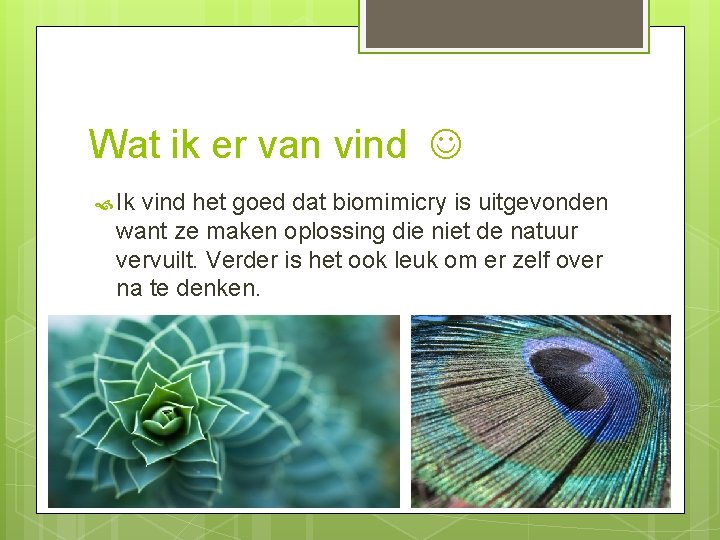 Wat ik er van vind Ik vind het goed dat biomimicry is uitgevonden want