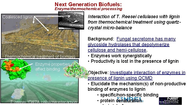 Next Generation Biofuels: Enzyme/thermochemical processing Coalesced lignin SEM image Thermochemical treatment of biomass Enzyme