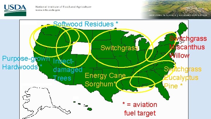 Softwood Residues * Switchgrass Purpose-grown Insect. Hardwoods * damaged Energy Cane Trees Sorghum* *