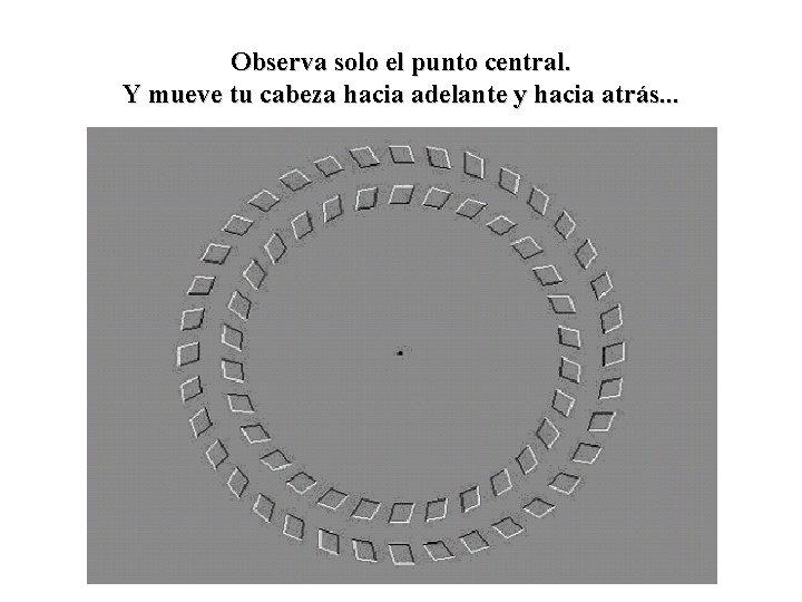 Observa solo el punto central. Y mueve tu cabeza hacia adelante y hacia atrás.