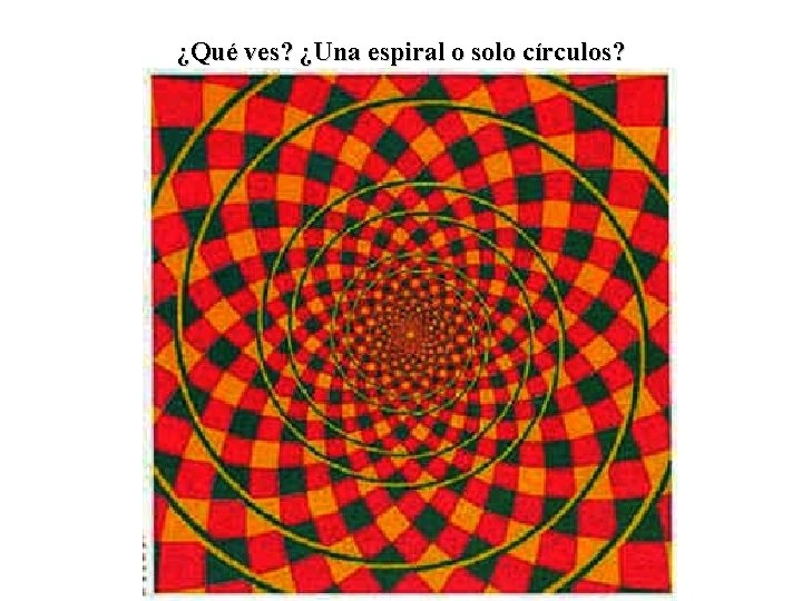 ¿Qué ves? ¿Una espiral o solo círculos? 