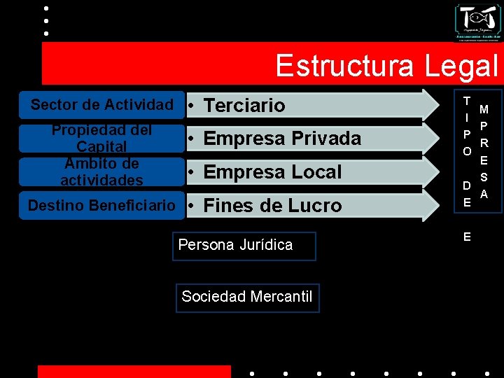 Estructura Legal Sector de Actividad Propiedad del Capital Ámbito de actividades Destino Beneficiario •