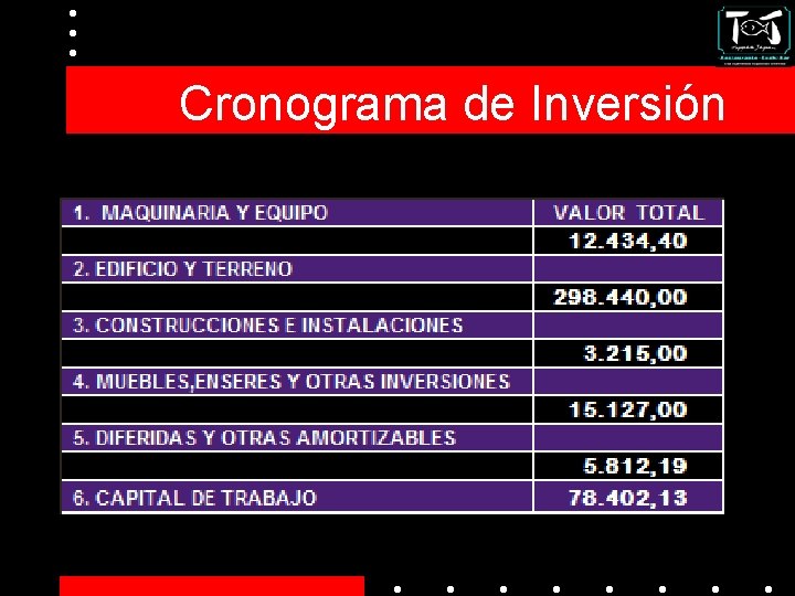 Cronograma de Inversión 