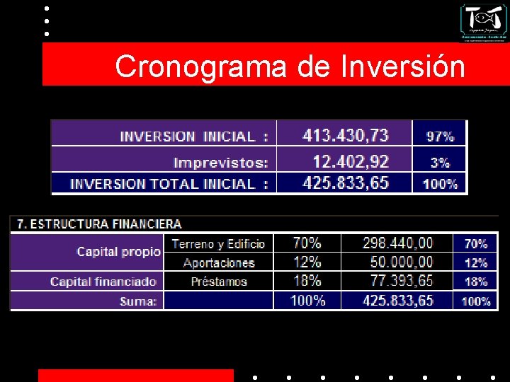 Cronograma de Inversión 