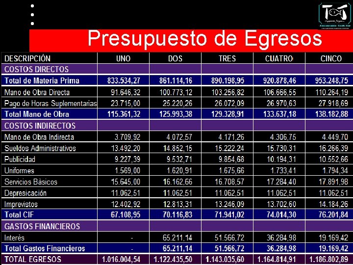 Presupuesto de Egresos 