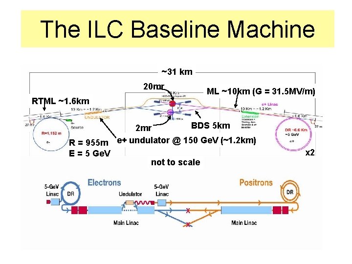 The ILC Baseline Machine ~31 km 20 mr RTML ~1. 6 km R =