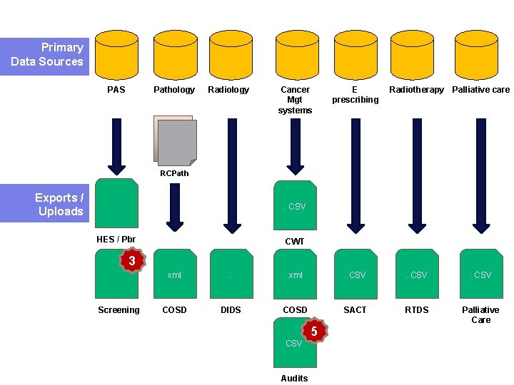 Primary Data Sources PAS Pathology Radiology Cancer Mgt systems E prescribing Radiotherapy Palliative care