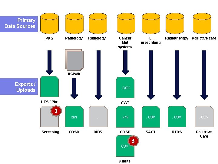 Primary Data Sources PAS Pathology Radiology Cancer Mgt systems E prescribing Radiotherapy Palliative care